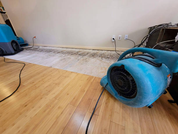 Professional Water Damage Repair technician working in Oceano, CA